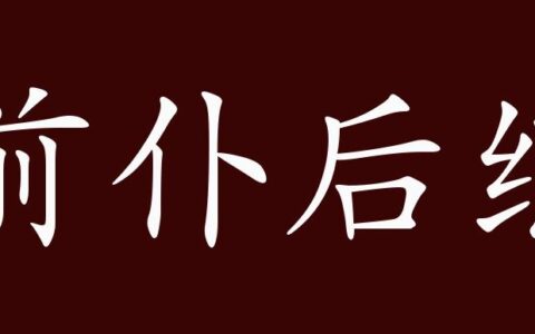 前仆后继(详解)