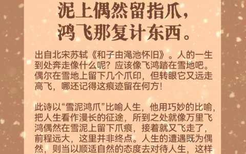 飞鸿踏雪的解释_意思_来源