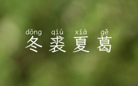 冬裘夏葛的解释_意思_来源