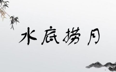 水底摸月的解释_用法_来源