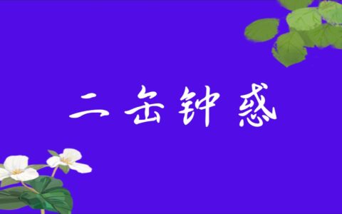二缶钟惑的解释_意思_来源