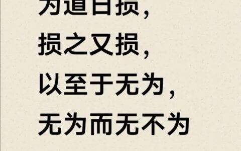 损之又损的解释_用法_来源