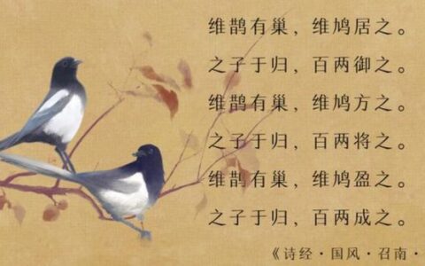 鸠居鹊巢的释义_解释_出处