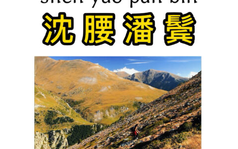 沈腰潘鬓的解释_用法_来源