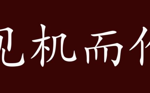 观机而作的解释_意思_来源