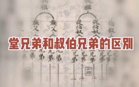 同堂兄弟的解释_用法_来源