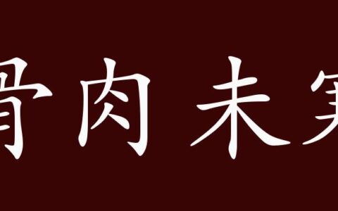 骨肉未寒的解释_意思_来源