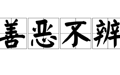恶不去善的解释_意思_来源