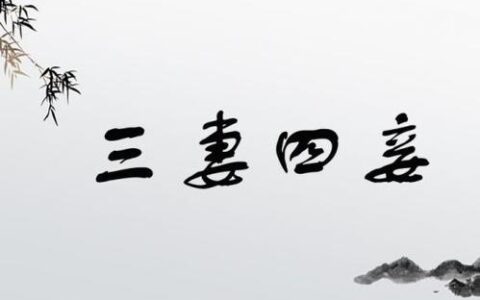 三妻四妾的解释_用法_来源