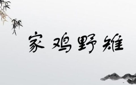 家鸡野雉的释义_解释_出处