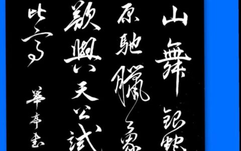 体国经野的解释_用法_来源