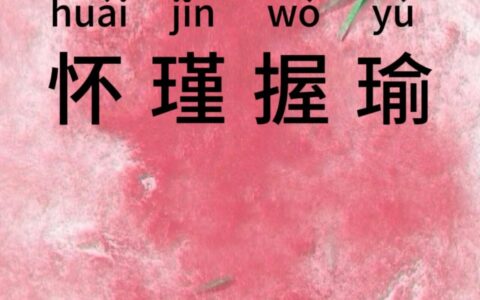 怀瑾握瑜的释义_解释_出处