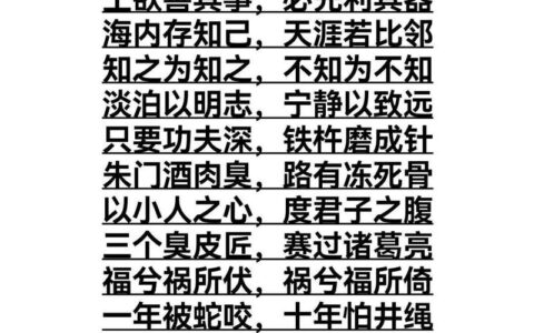 金城石室的释义_解释_出处