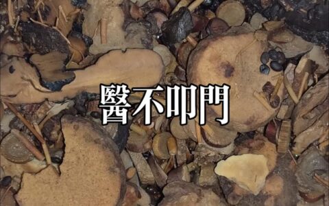 俗不可医的解释_用法_来源