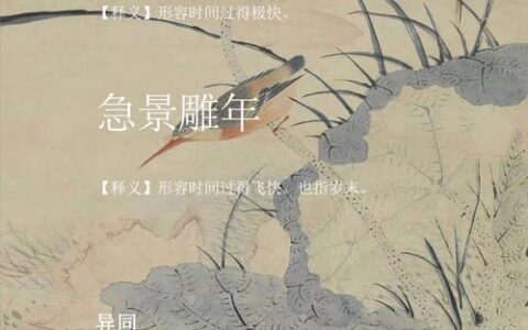 跳丸日月的解释_用法_来源