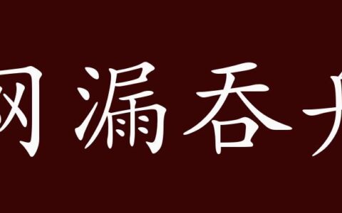 网漏吞舟的解释_用法_来源