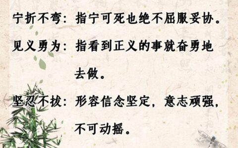 无拳无勇的解释_用法_来源