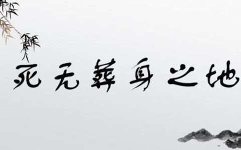 死无葬身之地的解释_用法_来源