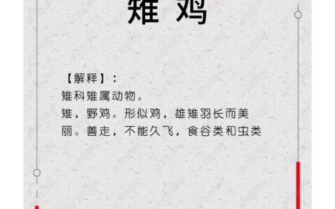 鸡鸣候旦的释义_解释_出处