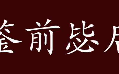鉴前毖后的释义_解释_出处