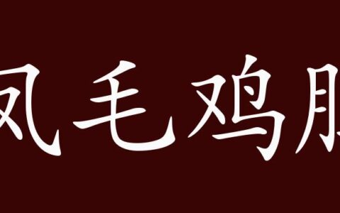 凤毛鸡胆的解释_意思_来源