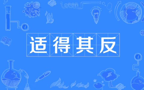 适得其反的解释_用法_来源