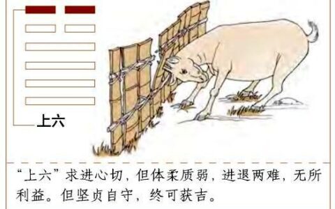 进退触篱的释义_解释_出处