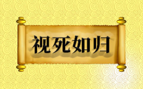 视死如生的解释_用法_来源