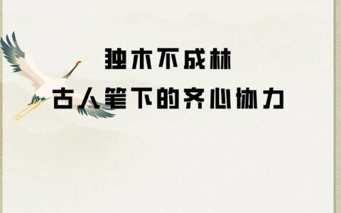 独木不林的解释_意思_来源