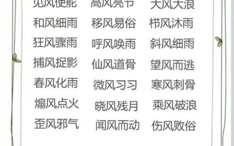 风风韵韵的解释_意思_来源