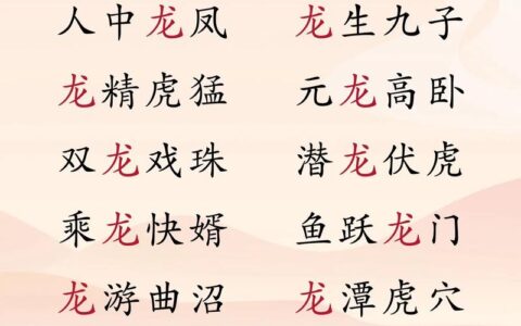 岁在龙虵的解释_用法_来源