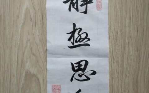 静极思动的释义_解释_出处