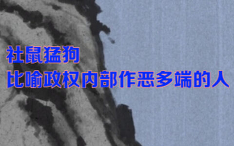 狗追耗子的解释_意思_来源