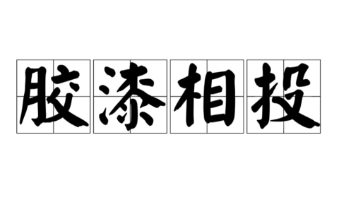 如胶投漆的解释_用法_来源
