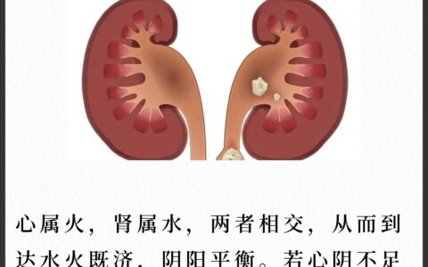 如见肺肝的解释_用法_来源