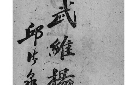 我武惟扬的解释_用法_来源