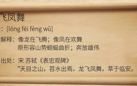 舞凤飞龙的解释_用法_来源