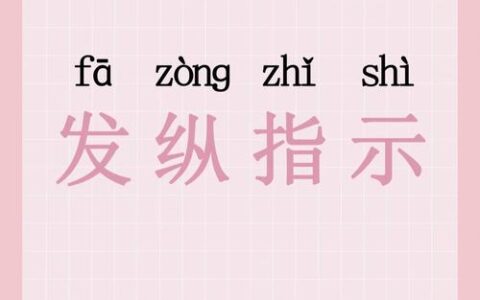 发纵指示的解释_意思_来源