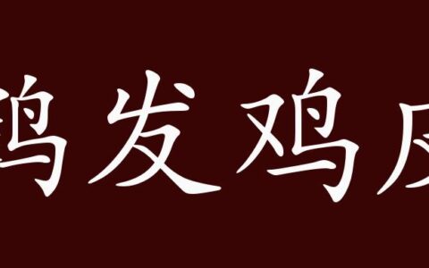 鹤发鸡皮的释义_解释_出处
