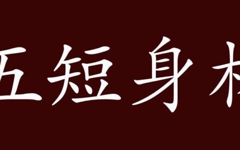 五短身材的解释_用法_来源
