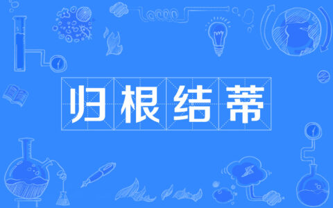 根盘蒂结的解释_意思_来源