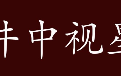 井中视星的释义_解释_出处