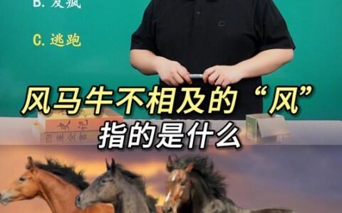 风马不接的解释_意思_来源