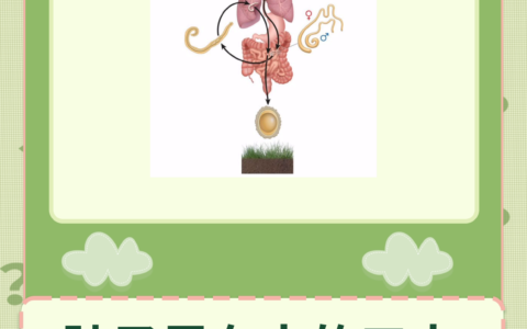 肚里蛔虫的解释_意思_来源