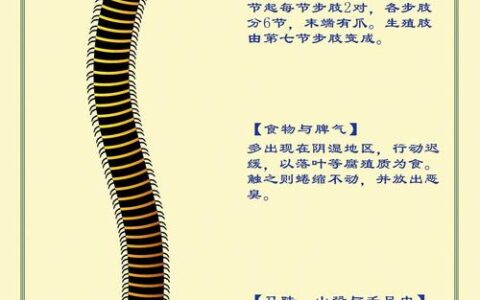 兽迒鸟迹的解释_用法_来源