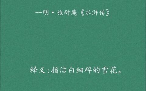 碎琼乱玉的解释_用法_来源