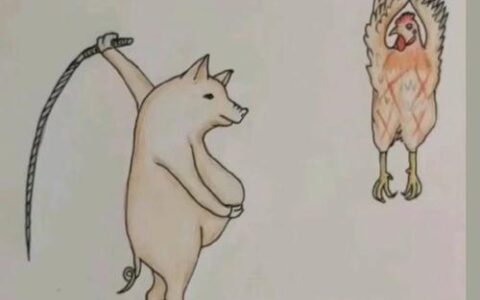 逢机立断的解释_意思_来源