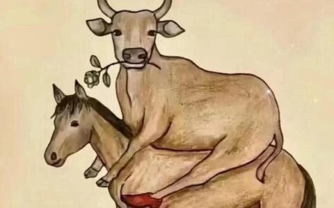 东走西撞的解释_意思_来源