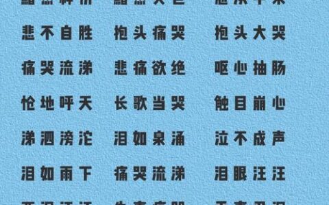 死心落地的解释_用法_来源