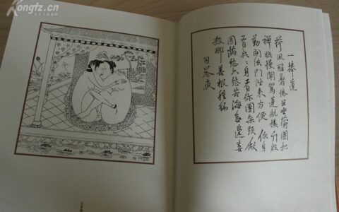 锦阵花营的释义_解释_出处